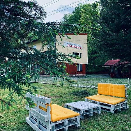 Pensiunea Păstrăvul Cîrţişoara Exterior foto