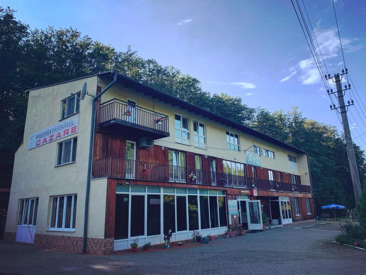 Pensiunea Păstrăvul Cîrţişoara Exterior foto