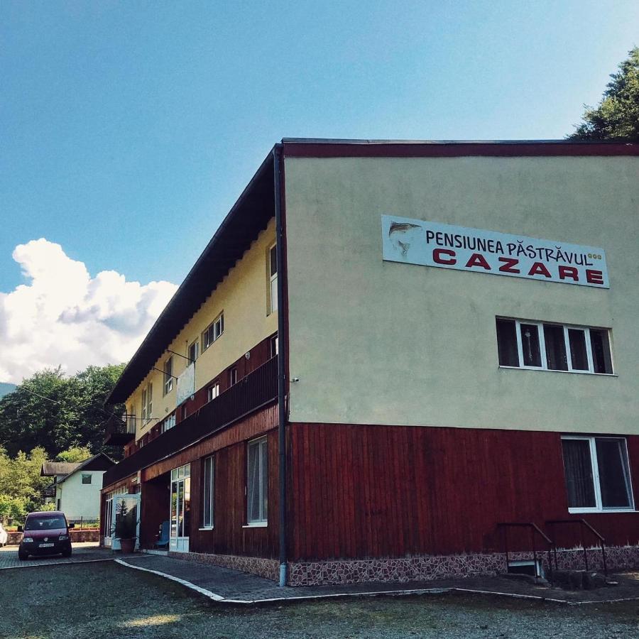 Pensiunea Păstrăvul Cîrţişoara Exterior foto