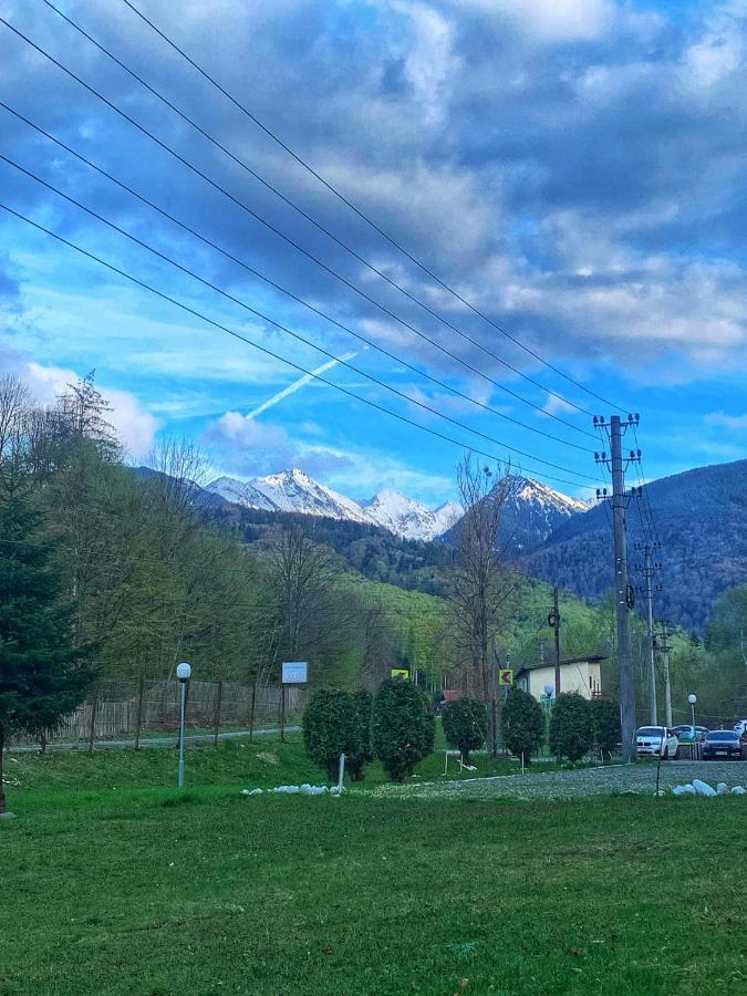 Pensiunea Păstrăvul Cîrţişoara Exterior foto