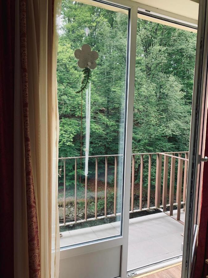 Pensiunea Păstrăvul Cîrţişoara Exterior foto