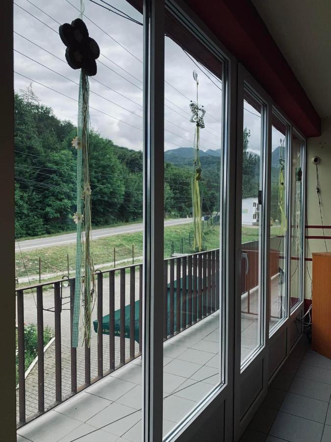 Pensiunea Păstrăvul Cîrţişoara Exterior foto