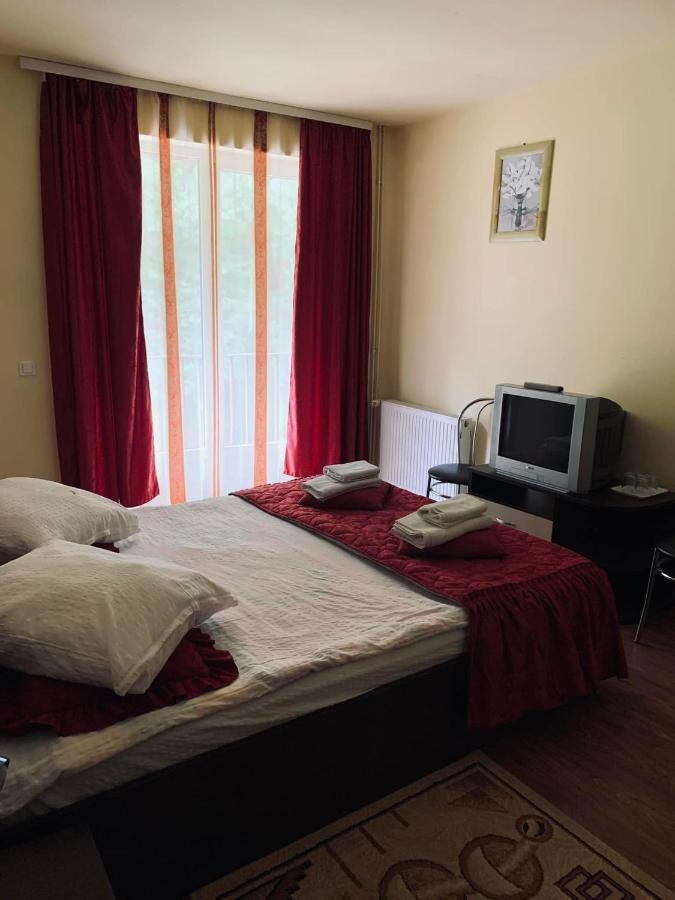 Pensiunea Păstrăvul Cîrţişoara Exterior foto