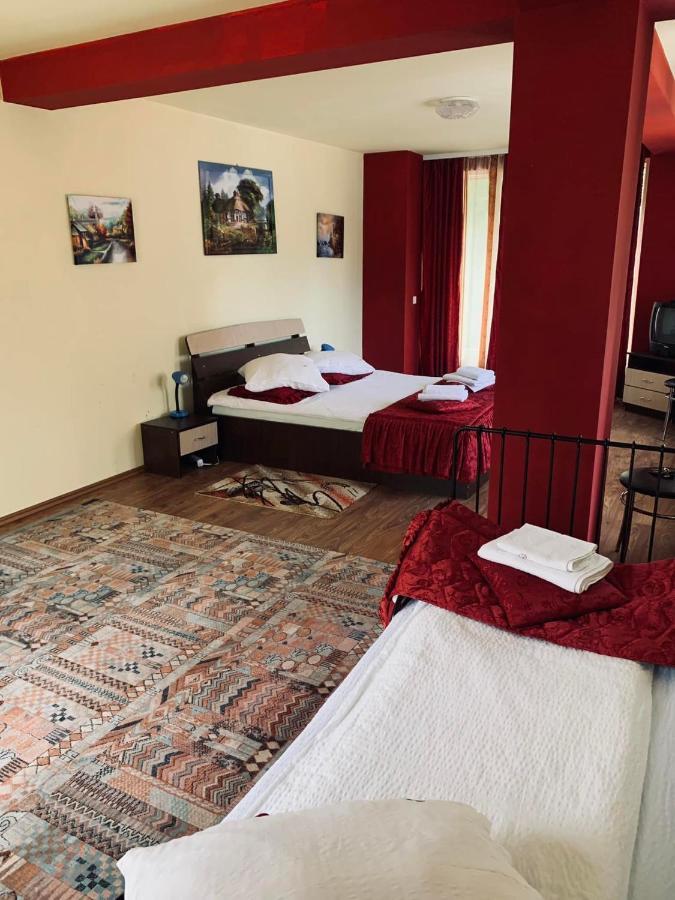 Pensiunea Păstrăvul Cîrţişoara Exterior foto