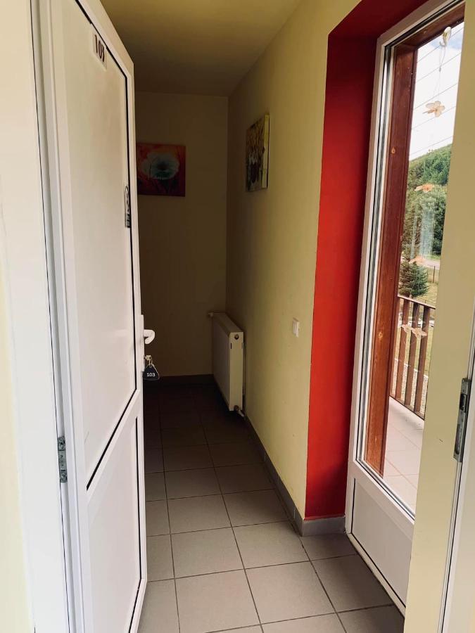 Pensiunea Păstrăvul Cîrţişoara Exterior foto