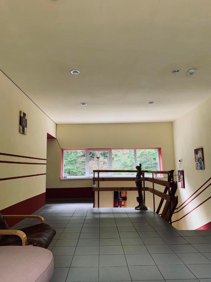 Pensiunea Păstrăvul Cîrţişoara Exterior foto