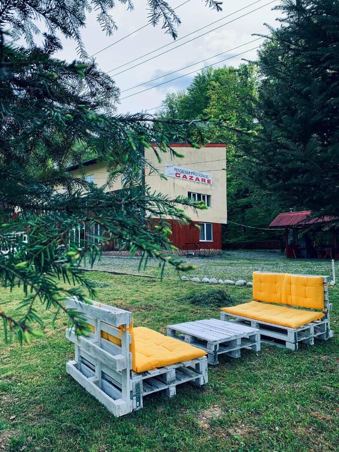 Pensiunea Păstrăvul Cîrţişoara Exterior foto