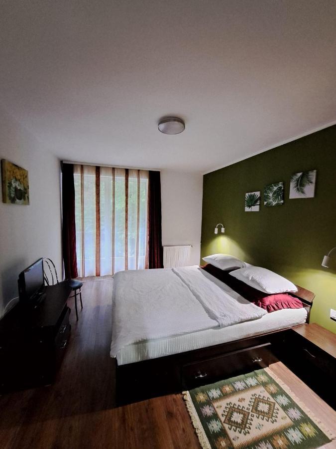Pensiunea Păstrăvul Cîrţişoara Exterior foto